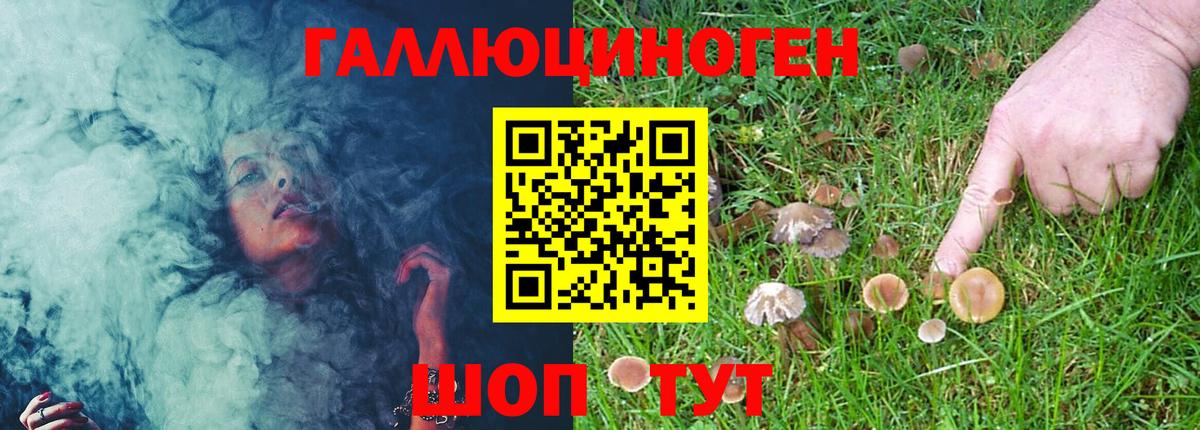 Сызрань  Псилоцибиновые грибы Psilocybine cubensis  Вход с VPN 